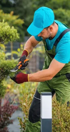 Landscaper trimming plants during landscape maintenance in Georgetown TX