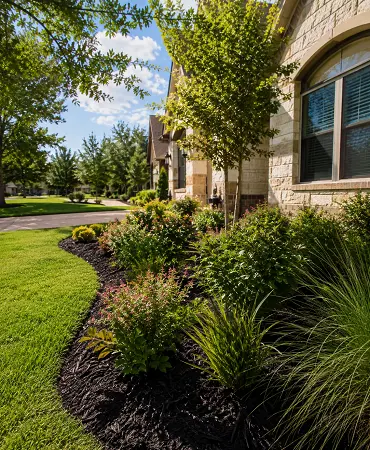 Landscape installation with trees and planting beds suited for Central Texas conditions.