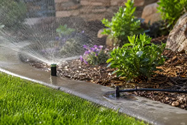 Sprinkler and drip irrigation system watering a landscaped yard.